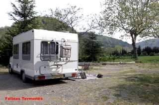 aire de felines hermenes