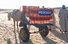 images humoristiques